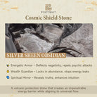 FuAttract Wealth Whirl - Silver Obsidian Double Pixiu Abundance Charm Pendant Necklace  - image 8