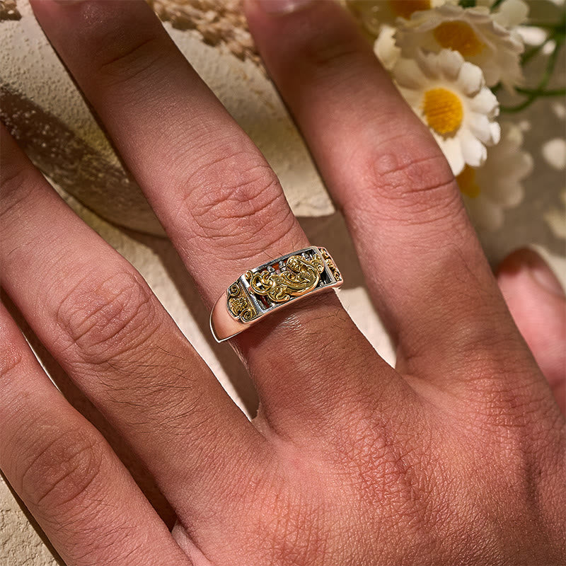 FuAttract Measured Protection – Pure Silver Pixiu Abacus Ring - image 4