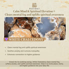 FuAttract Versatile Pixiu Pendant – Multi-Material Talisman - image 24