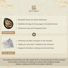 FuAttract Wealth & Luck Hypersthene Bracelet with Clear Quartz & Pixiu - image 6