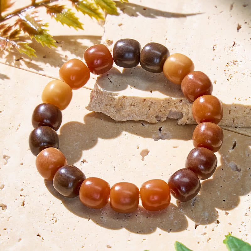 FuAttract Spiritual Awakening Wisdom Calm Energy Bodhi Seed Bracelet - Caramel Brownie - 12mm - image 0