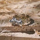 FuAttract Empower Attract Protect – Ritual Ring of Silver Balance - image 3