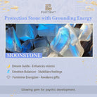 FuAttract Radiant Intuition and Courage – Moonstone Sunstone Pixiu Bracelet - image 6