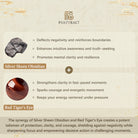 FuAttract Protection & Wealth Bracelet – Om Mani Padme Hum + Silver Obsidian Pixiu - image 7