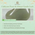 FuAttract Harmony of Fortune Bracelet –  Cyan Jade With FengShui Pixiu - image 8
