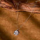 FuAttract Wealth & Protection Necklace – Pixiu Coin Amulet - Silver - image 1