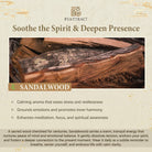 FuAttract Sandalwood Engraving Zen PiXiu Protection & Good Fortune Bracelet - image 7