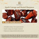 FuAttract Courage Protection Wealth & Power Red Tiger's Eye Pixiu Bracelet - image 9