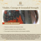 FuAttract Wealth Attraction & Protection Vitality African Bloodstone Pixiu Bracelet  - image 7