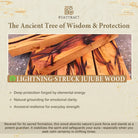 FuAttract Protective Wealth Luck Lightning-Struck Jujube Wood Pixiu Keychain - image 6