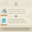FuAttract Clarity Protection Wealth Aquamarine Clear Quartz Pixiu Bracelet - image 7