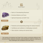 FuAttract Clarity & Courage Amethyst Tiger's Eye Chinese Zodiac Bracelet - image 7