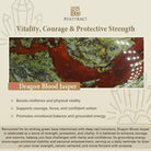 FuAttract Vitality & Protection Luck Flow Dragon Blood Jasper Pixiu Bracelet - image 7