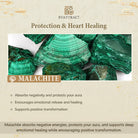 Fuattract Wishbeads Protection & Transformation– Malachite Intention Bracelet - image 7