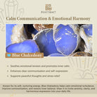 FuAttract Balance Grounding & Protection Natural Opal Amethyst Double Layer Woven Bracelet  - image 5