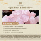 FuAttract Love Harmony & Emotional Healing Rose Quartz Fu Charm Bracelet - image 8