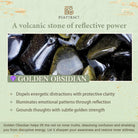 FuAttract Protection Wealth & Prosperity Golden Obsidian Bead Fu Symbol Charm Bracelet - image 8