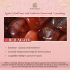 FuAttract Wishbeads Love Energy & Vitality – Garnet & Red Agate Intention Bracelet - image 7