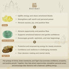 FuAttract Wealth Luck & Good Fortune Citrine Green Aventurine Tiger Eye Pixiu Feng Shui Bracelet - image 9