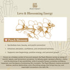 FuAttract Protection & Positive Energy Cinnabar Peach Blossom Fu Character Bracelet - image 7
