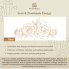 FuAttract Elegance Romance & Flourishing Rose Metal Wall Decor Home Art Decor - image 18
